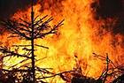 Wiesen- und Waldbrandgefahrt in